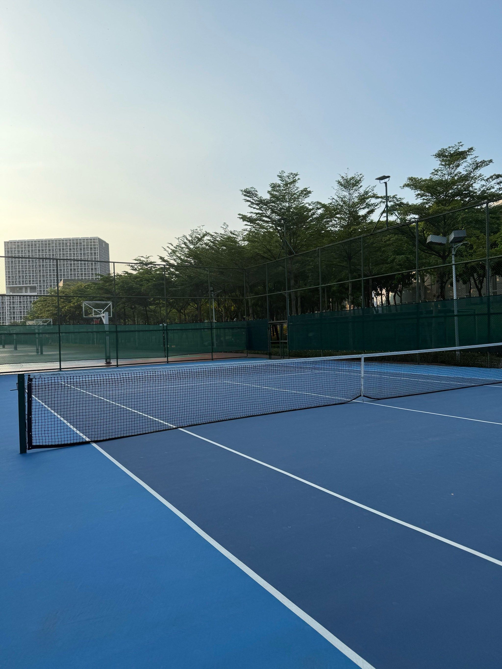 本赛季新的 本赛季新的